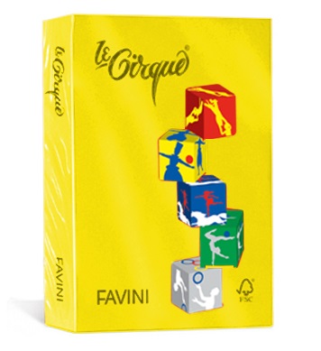 Favini Le Cirque Carta Colorata A4 80 g/m² Giallo Sole 202 - Risma da 500 Fogli