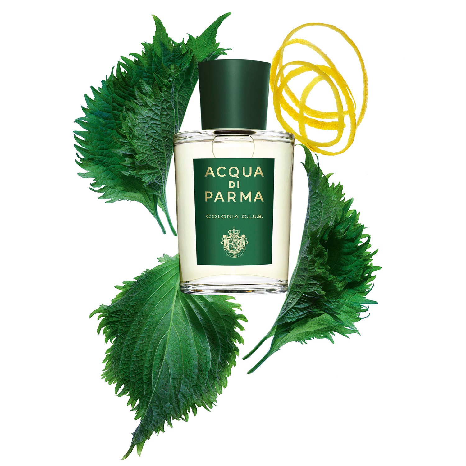 Acqua di Parma Colonia C.L.U.B. Eau de Cologne 100 ml - Fragranza Rinforzante per Uomo