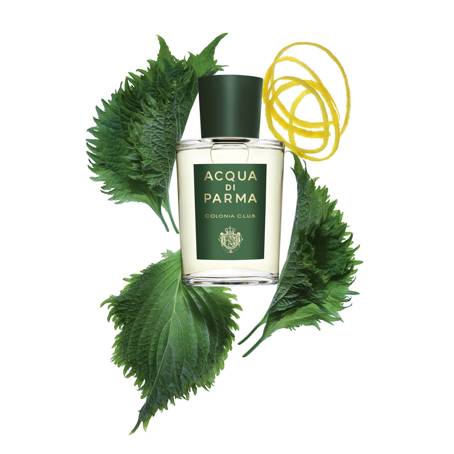 Acqua di Parma Colonia C.L.U.B. Eau de Cologne 180 ml - Fragranza Rinforzante Unisex con Note di Menta e Bergamotto