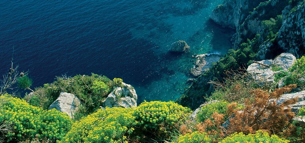 Acqua di Parma Blu Mediterraneo Bergamotto di Calabria Eau de Toilette Unisex 150ml - Fragranza Agrumata con Note Fruttate