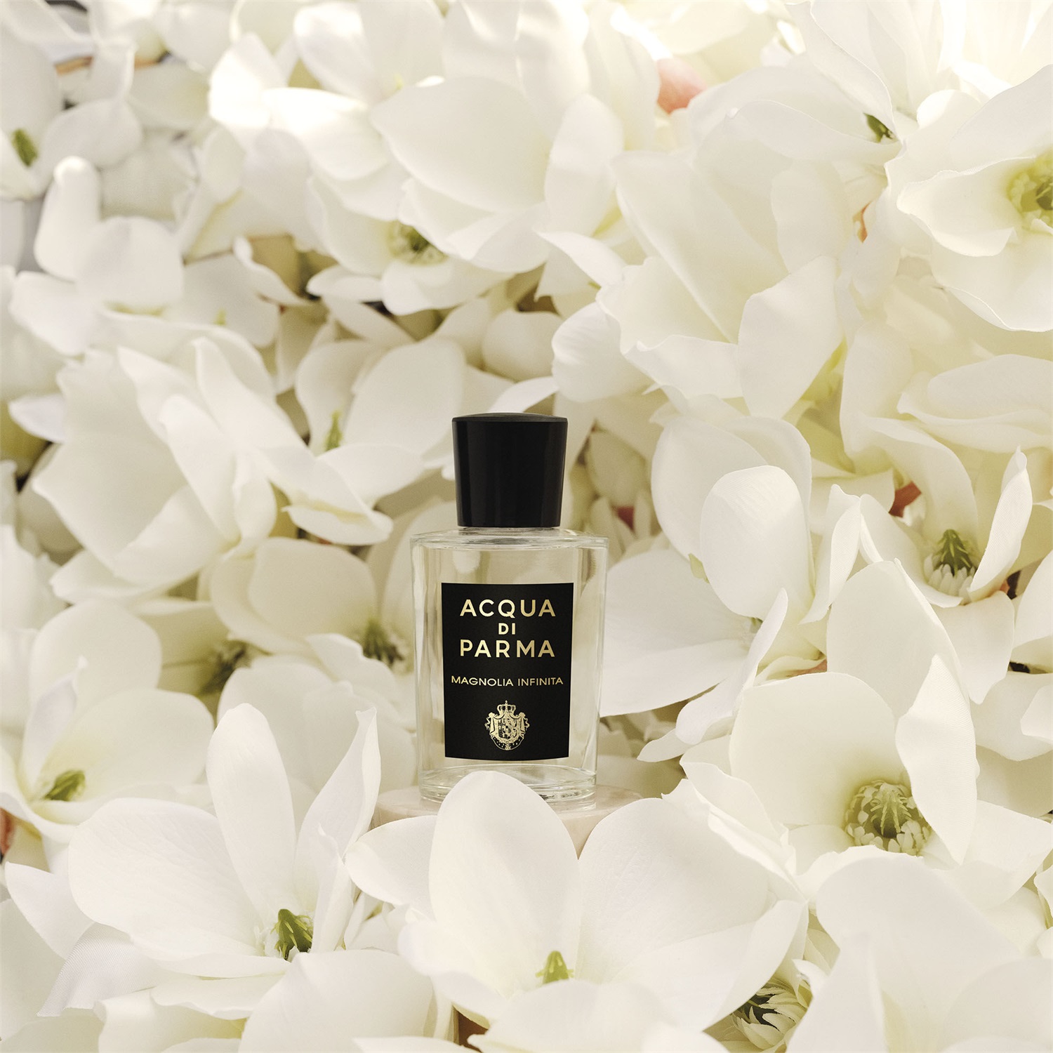 Acqua di Parma Magnolia Infinita Eau de Parfum Femminile 100 ml - Fragranza Floreale con Note di Bergamotto, Arancia e Limone