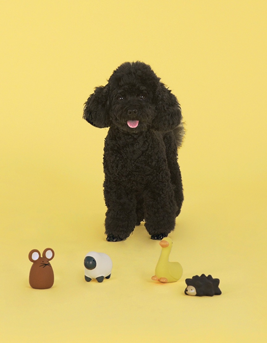 UNITED PETS Happy Farm Tato - Gioco Topo per Cani in Lattice Naturale, Marrone, Taglia Unica, Atossico con Fischietto