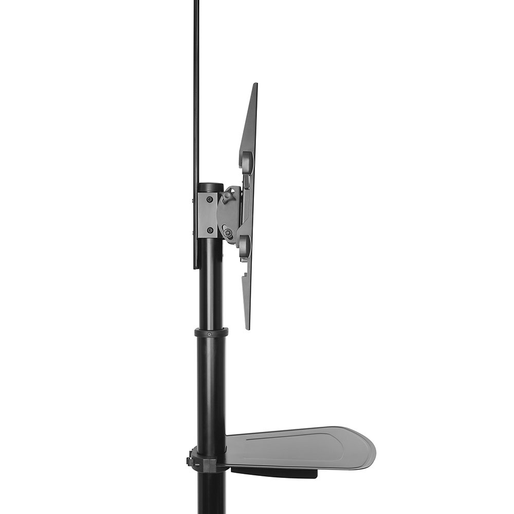 Ewent EW1540 Supporto da Pavimento per TV 37-70 Pollici - Altezza e Angolo di Visione Regolabili - Attacco VESA 200x200, 300x300, 400x200, 400x400, 600x400