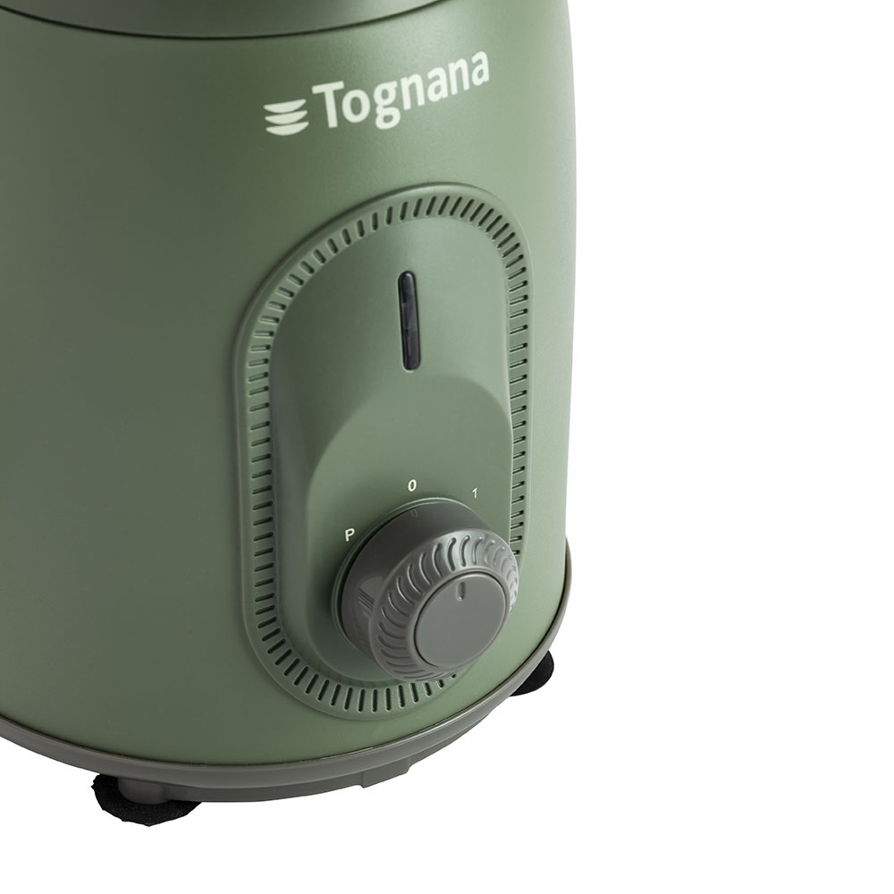 Tognana Iridea Frullatore 4 Lame Tritaghiaccio Verde Salvia con Caraffa in Vetro da 0,8L e Potenza di 300W