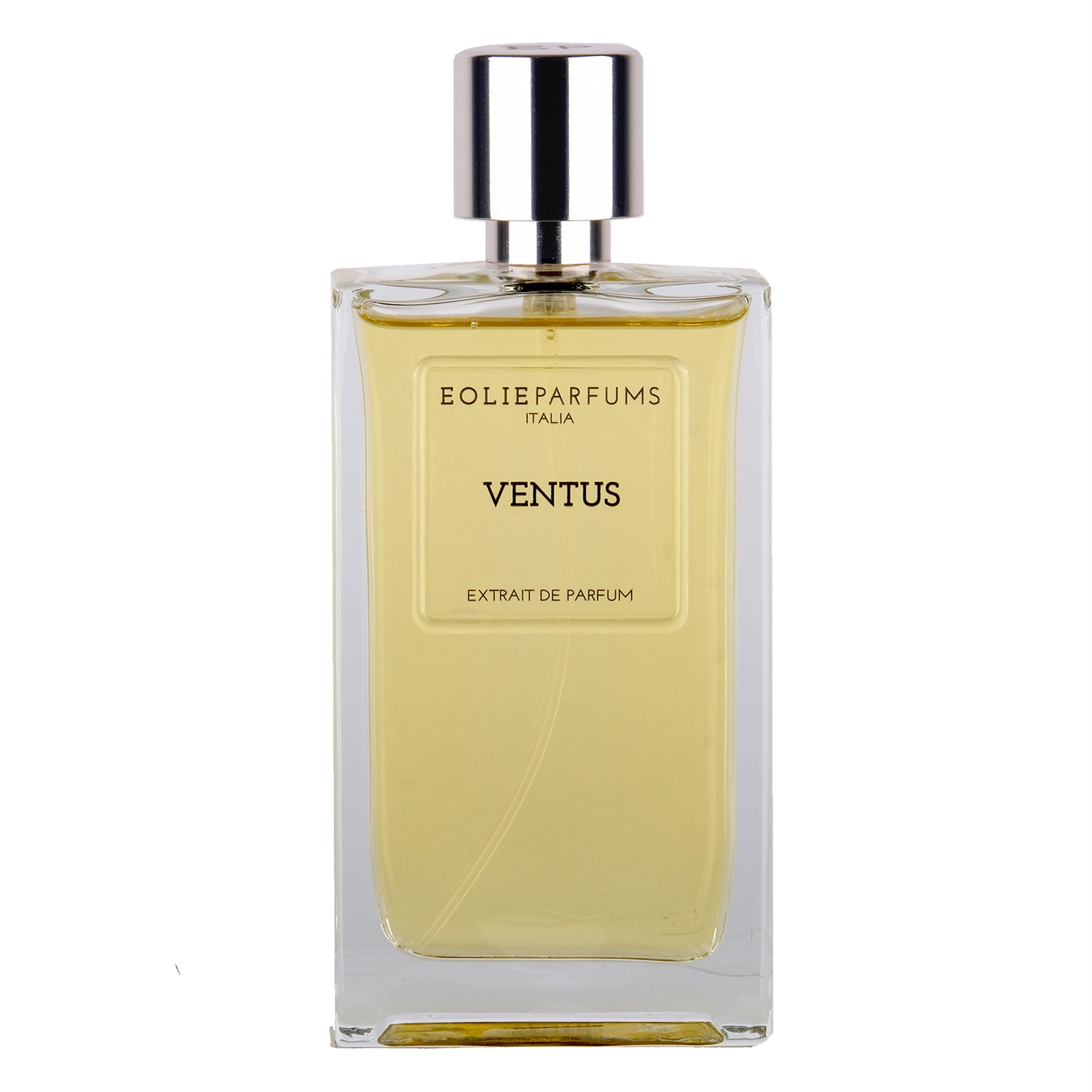 Eolie Parfums Ventus Eau de Parfum Unisex 100ml - Note Speziate e Legnose