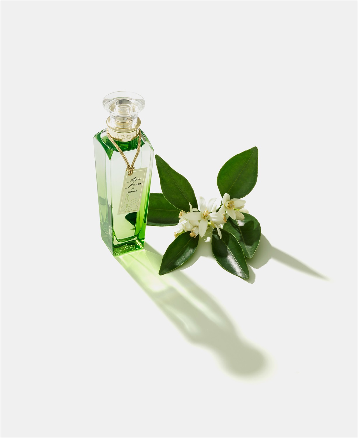 Adolfo Dominguez Agua Fresca de Azahar Eau de Toilette Unisex 120 ml - Fragranza Floreale