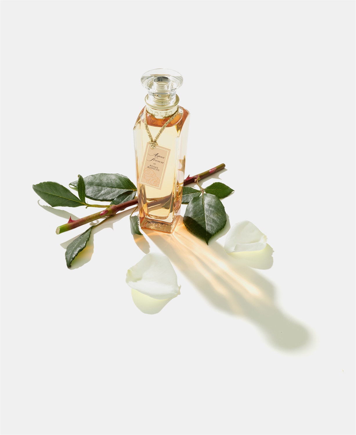 Adolfo Dominguez Agua Fresca de Rosas Blancas Eau de Toilette Spray 120 ml Donna - Fragranza Floreale Chypre