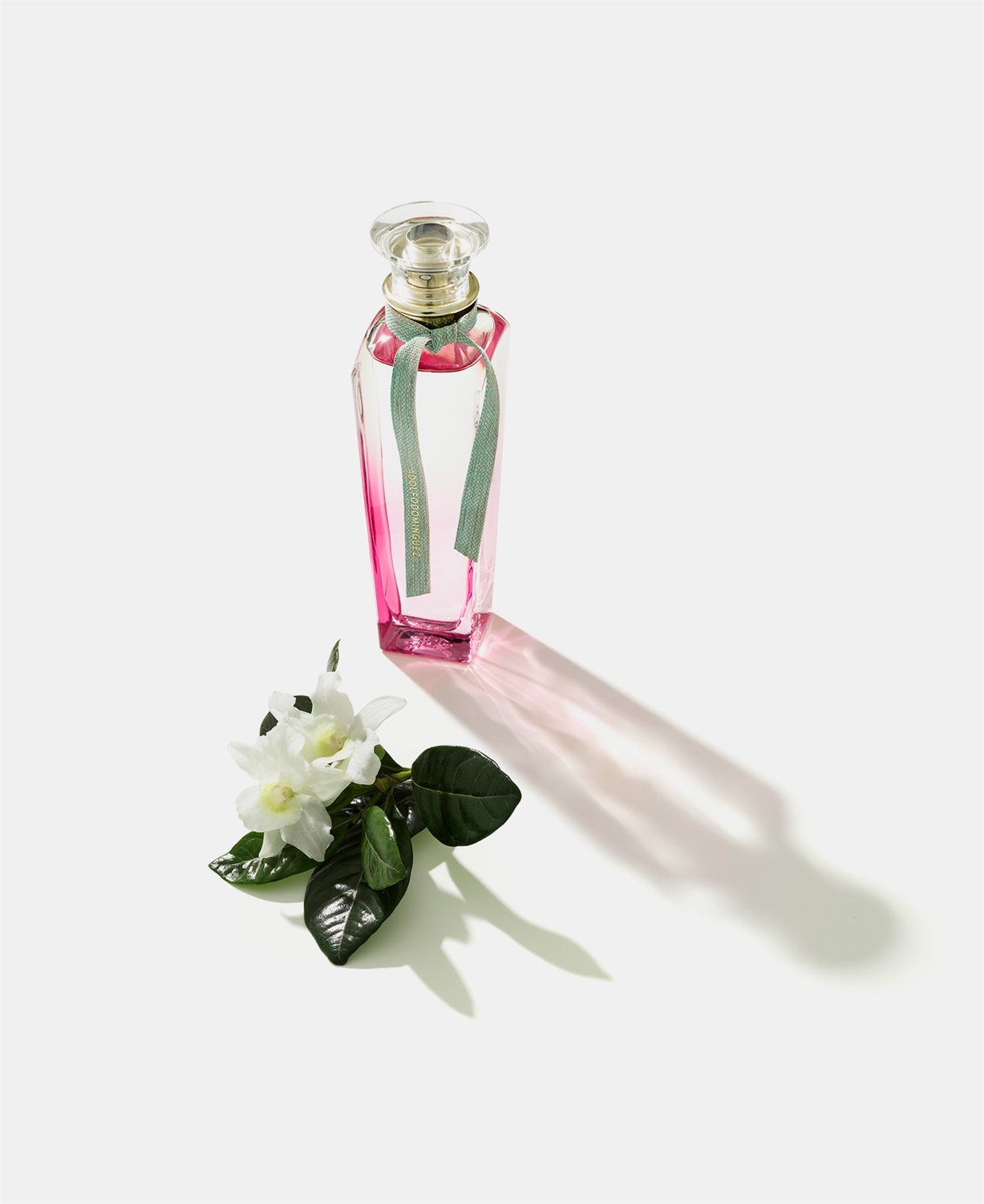 Adolfo Dominguez Agua Fresca de Gardenia Musk Eau de Toilette 120 ml - Fragranza Floreale Legnosa Muschiata per Donna