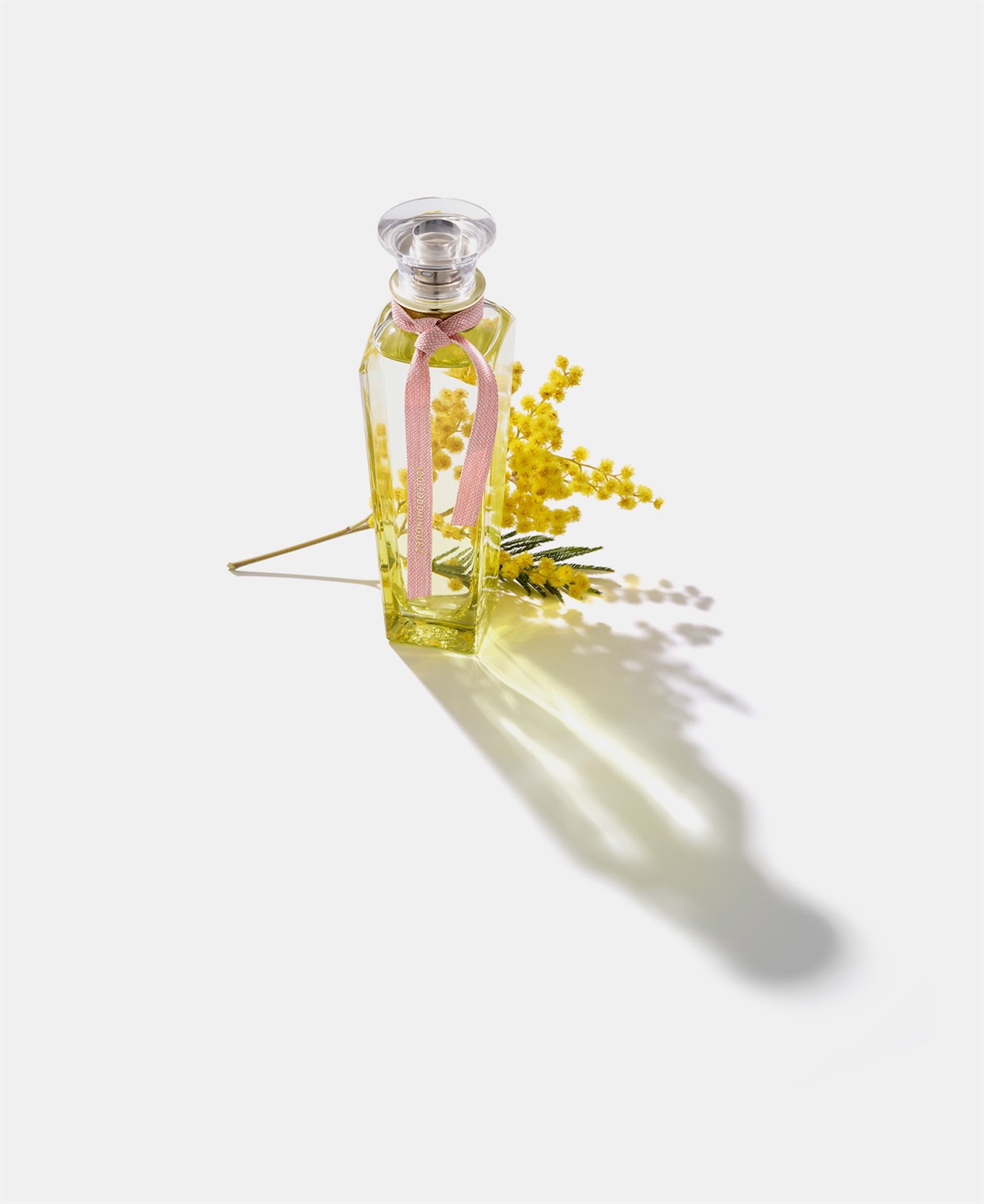 Adolfo Dominguez Agua Fresca de Mimosa Coriandro Eau de Toilette 120 ml Donna - Fragranza Floreale Legnosa Muschiata