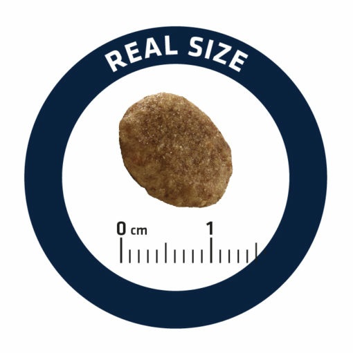 Advance Veterinary Diets Urinary Cibo Secco per Gatti Adulto 3 kg - Alimento Dietetico Completo per Problemi Urinari con Moderato Contenuto di Magnesio