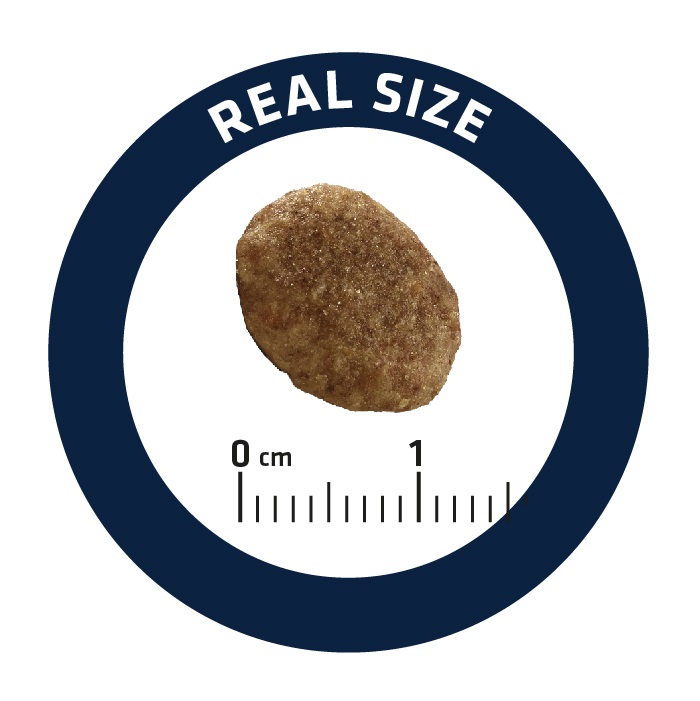 Advance Pet 596211 cibo secco per gatti 1,5 kg Adulto