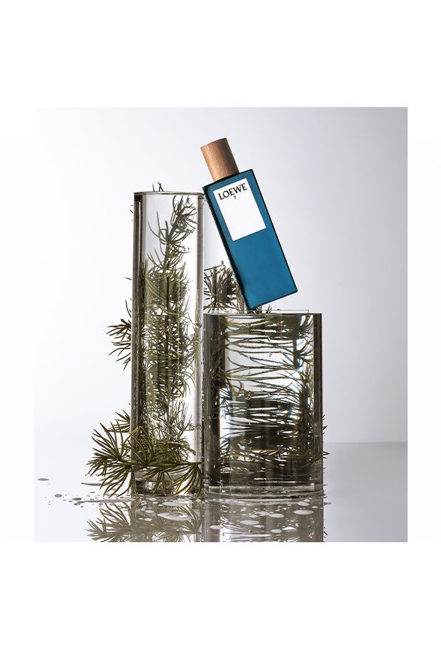 LOEWE 7 Eau de Toilette Spray 100 ml - Fragranza Legnosa Floreale Muschiata per Uomo