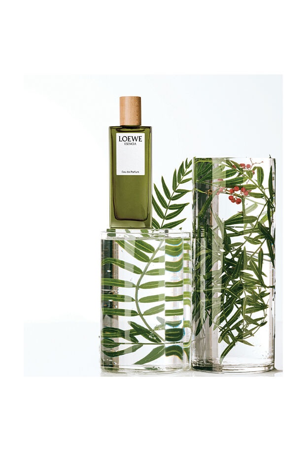 Loewe Esencia Eau de Parfum 100 ml Uomo - Fragranza Aromatica Orientale Speziata