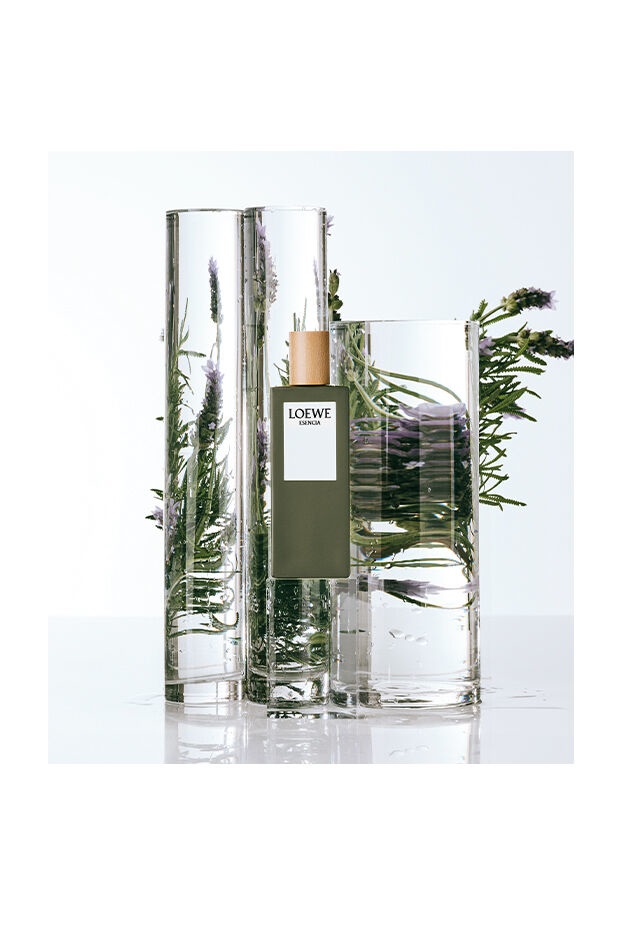 Loewe Esencia Eau de Toilette 150 ml Uomo - Fragranza Intensa con Note di Vetiver, Dragoncello e Lavanda