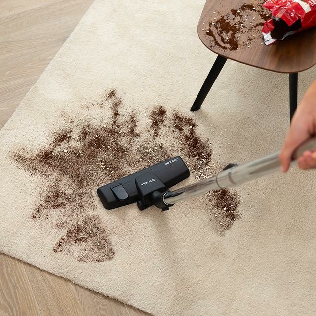 Cecotec Aspirapolvere Senza Sacco Conga Powerbag 2500 Plus - 850 W, Filtraggio Alta Efficienza, Tubo Telescopico in Metallo, Capacità 2,5 L