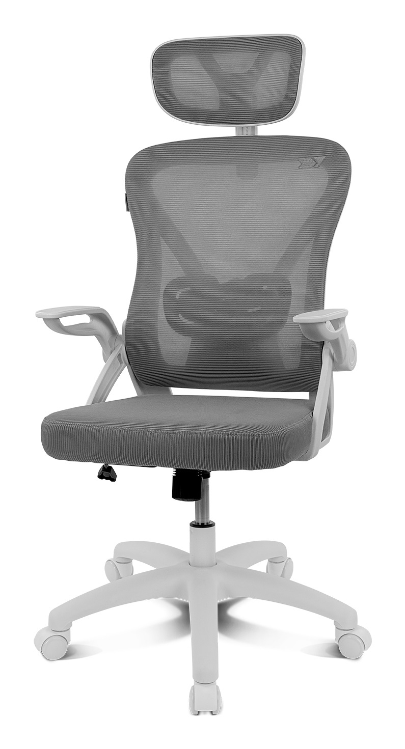 DRIFT DRAIR35 - Sedia da Gaming Ergonomica Reclinabile 90-120° con Poggiatesta e Braccioli Pieghevoli, Supporta fino a 120 kg, Grigio-Bianco
