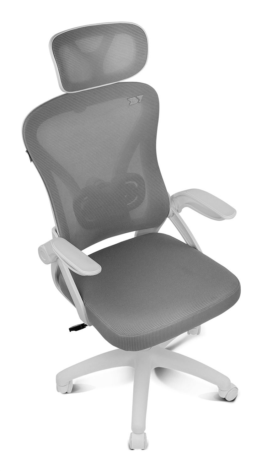DRIFT DRAIR35 - Sedia da Gaming Ergonomica Reclinabile 90-120° con Poggiatesta e Braccioli Pieghevoli, Supporta fino a 120 kg, Grigio-Bianco