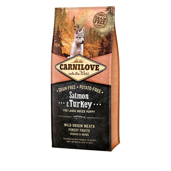 CARNILOVE Salmon & Turkey Large Breed Puppy 12 kg Cucciolo Salmone, Tacchino
