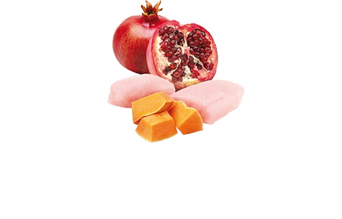 Farmina N&D Pumpkin Pollo, Zucca e Melograno - Alimento Umido Completo per Cani Adulti 285g