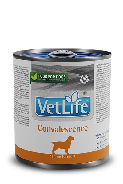 Farmina Vet Life Convalescence Cibo Umido per Cani 300 g - Ripresa Nutrizionale e Convalescenza