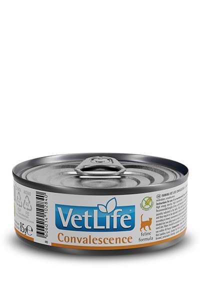 Farmina Vet Life Convalescence Cibo Umido per Gatti 85 g - Alimento Dietetico Completo per Ripresa Nutrizionale