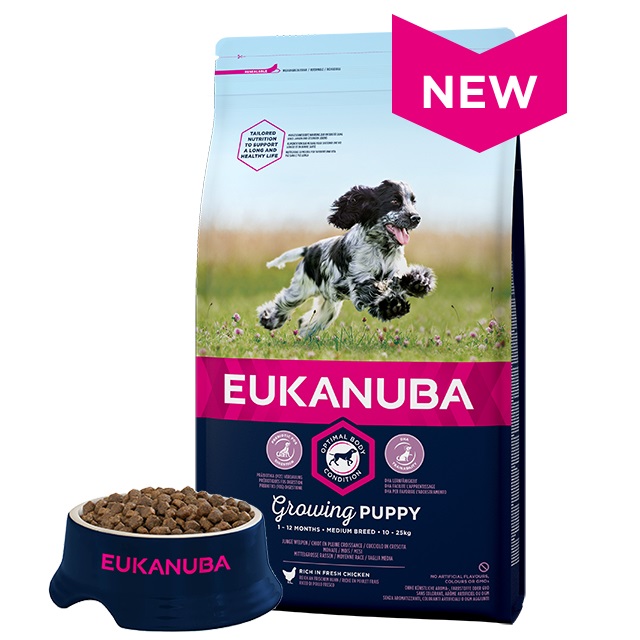 Eukanuba Puppy Medium Breed Dry Food al Pollo - 15 kg, Alimento Completo per Cuccioli di Razza Media