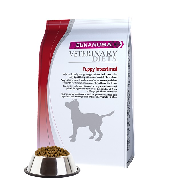 Eukanuba Veterinary Diets Intestinal Cibo Secco per Cani 5 kg - Alimento per Disturbi Gastrointestinali con Ingredienti Digeribili