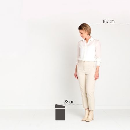 Brabantia Touch Bin Pattumiera 3 L Inox Satinato e Lucido con Meccanismo Soft-Touch e Supporto a Parete