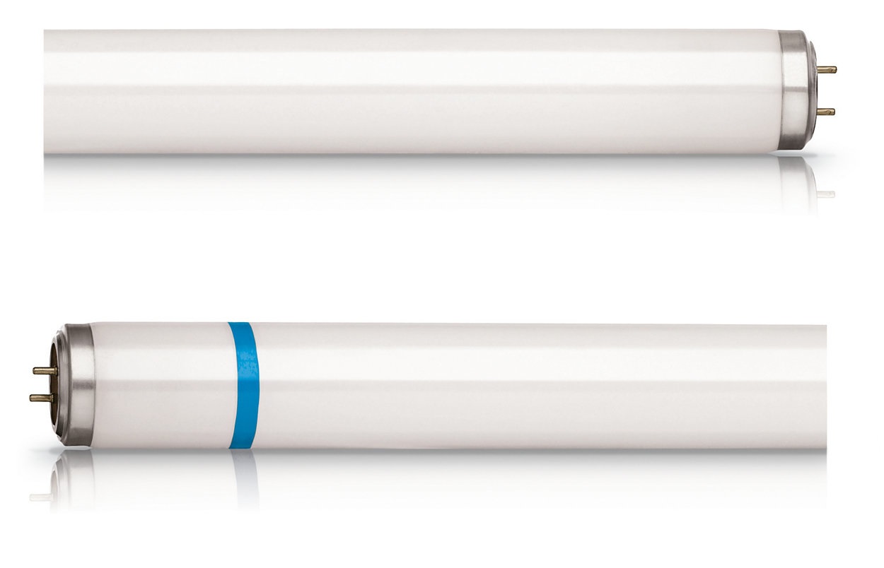 Philips Actinic BL TL-D 15W/10 Secura 1SL/25 - Lampada fluorescente G13 per fototerapia e attrazione insetti, stabile ai raggi UV