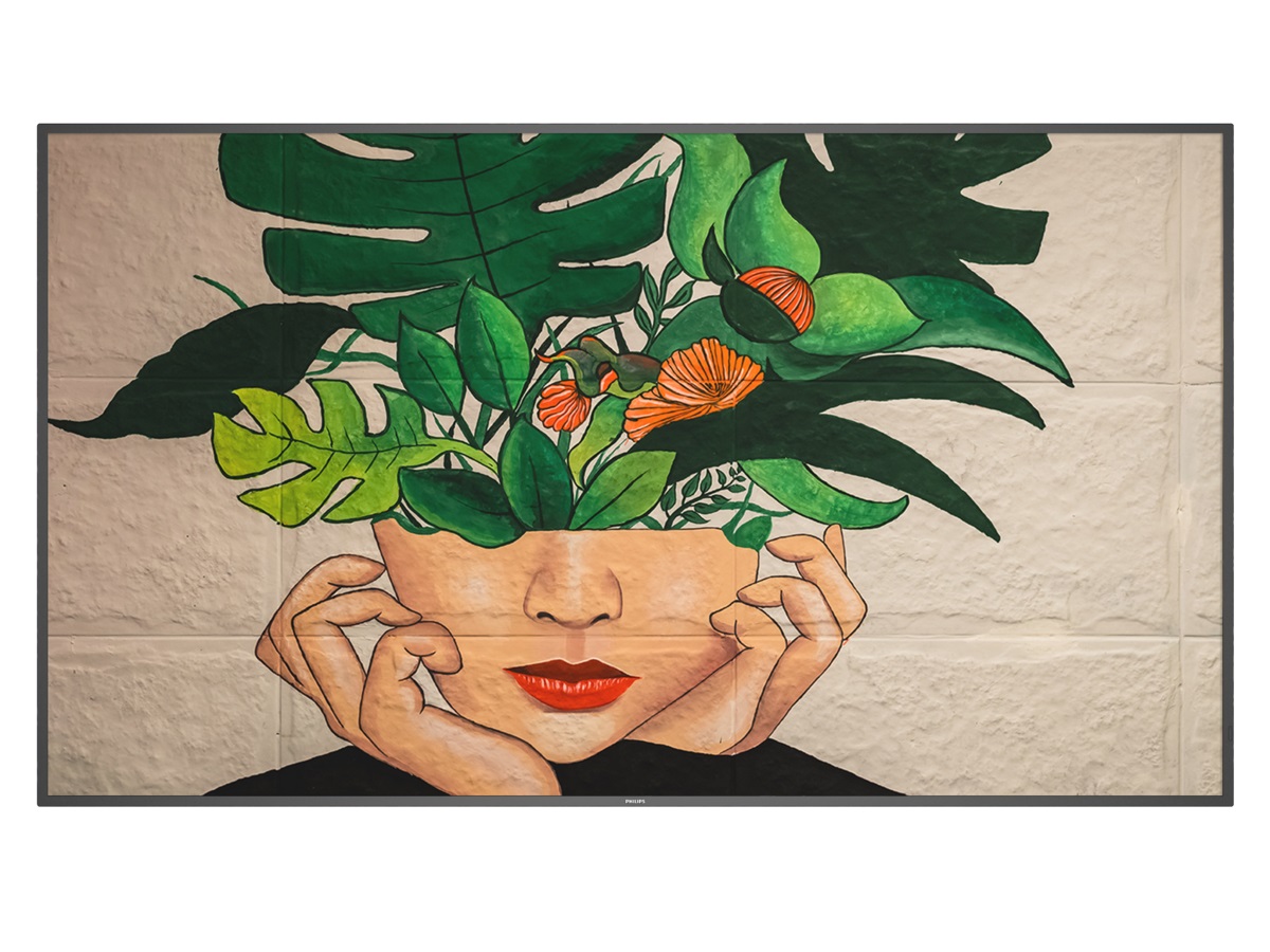 Philips 75BDL4511D/00 Pannello A Digitale 75