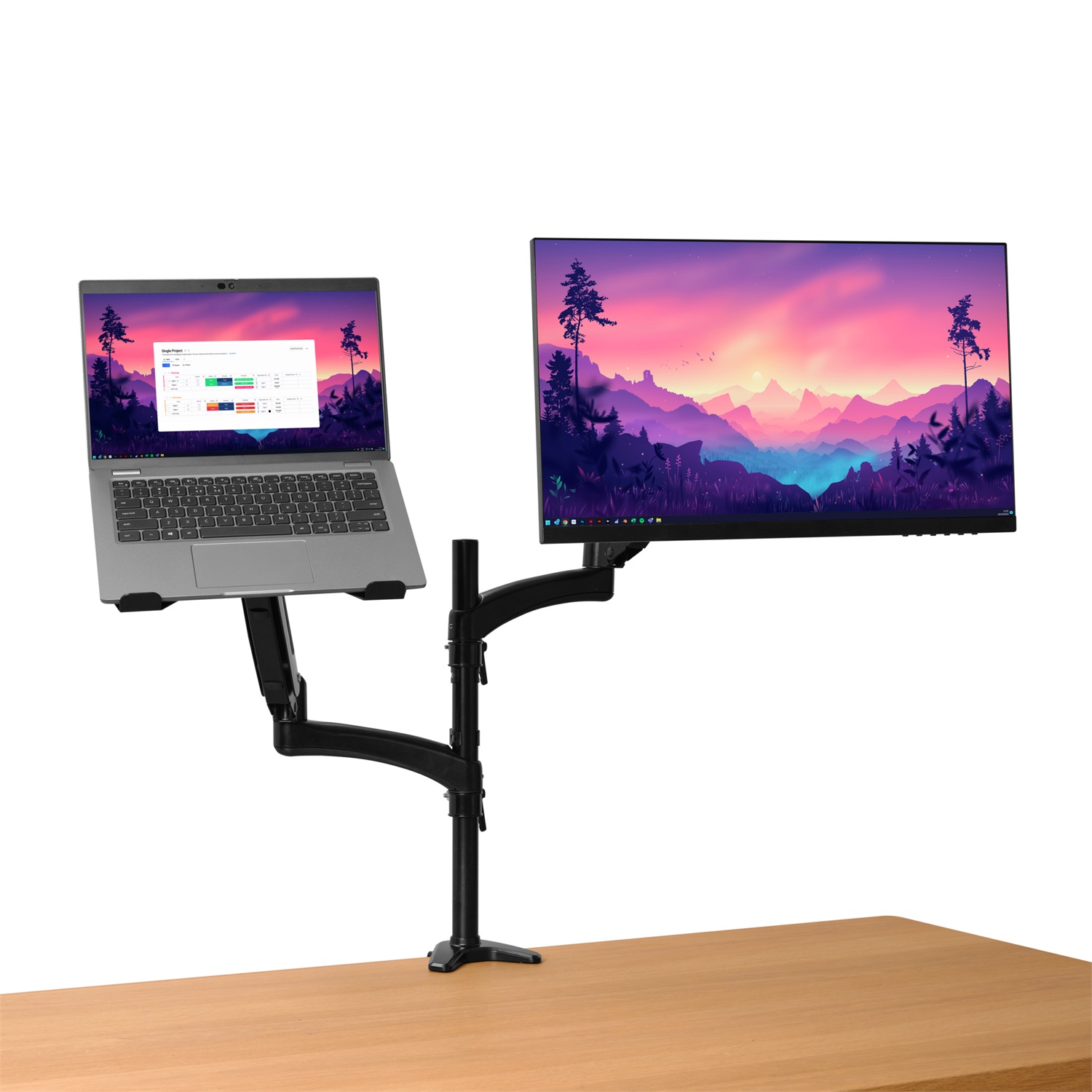 Trust Mara Braccio per Monitor e Laptop - Supporto da Scrivania per Doppio Monitor fino a 32
