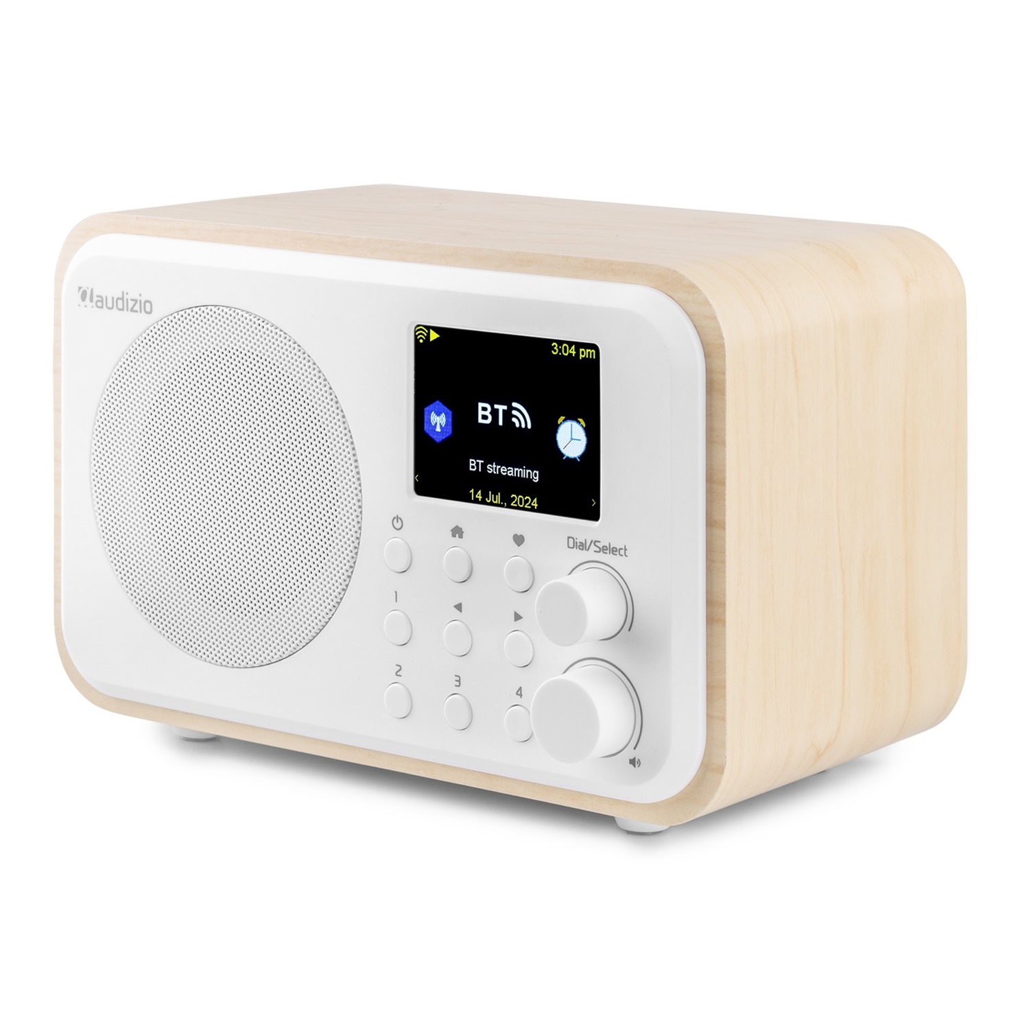 Audizio Vicenza Radio Digitale DAB e Internet con Bluetooth 5.1, Telecomando, Batteria da 10 Ore e Design Bianco