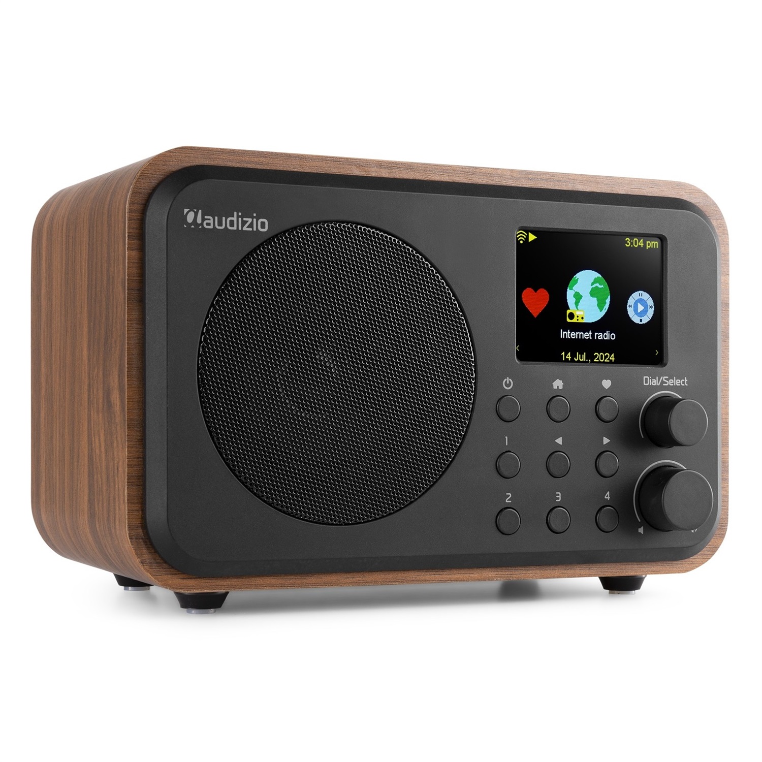 Audizio Vicenza Radio Digitale Multifunzionale DAB e Internet con Bluetooth 5.0/5.1, Batteria 10 Ore, Telecomando, Line-Out, USB-C