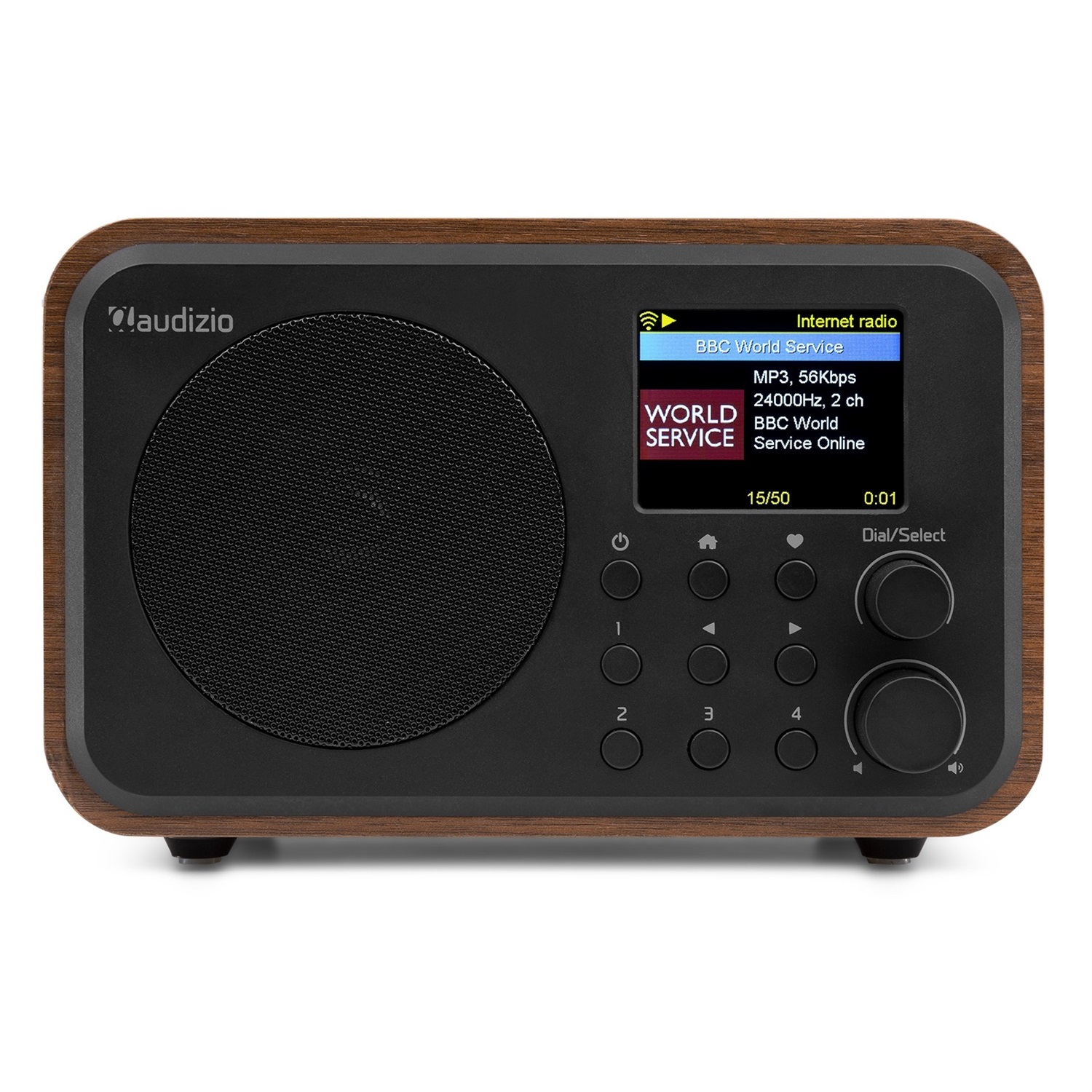 Audizio Vicenza Radio Digitale Multifunzionale DAB e Internet con Bluetooth 5.0/5.1, Batteria 10 Ore, Telecomando, Line-Out, USB-C