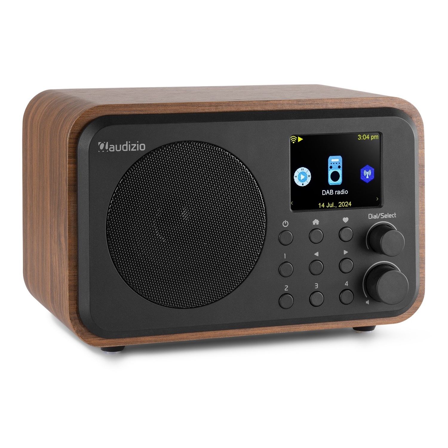 Audizio Vicenza Radio Digitale Multifunzionale DAB e Internet con Bluetooth 5.0/5.1, Batteria 10 Ore, Telecomando, Line-Out, USB-C