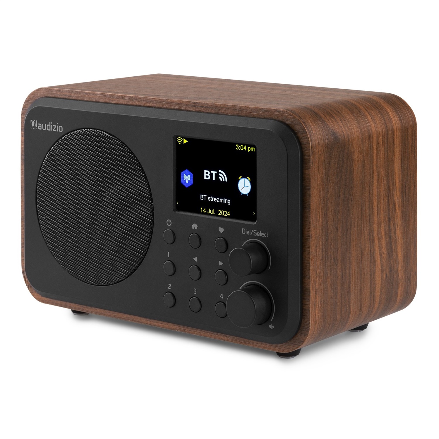 Audizio Vicenza Radio Digitale Multifunzionale DAB e Internet con Bluetooth 5.0/5.1, Batteria 10 Ore, Telecomando, Line-Out, USB-C