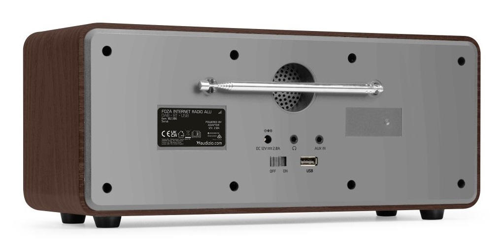 Audizio Foza - Radio Internet WLAN DAB con Bluetooth, 50 Watt, Dual Allarme e Sleeptimer, colore argento