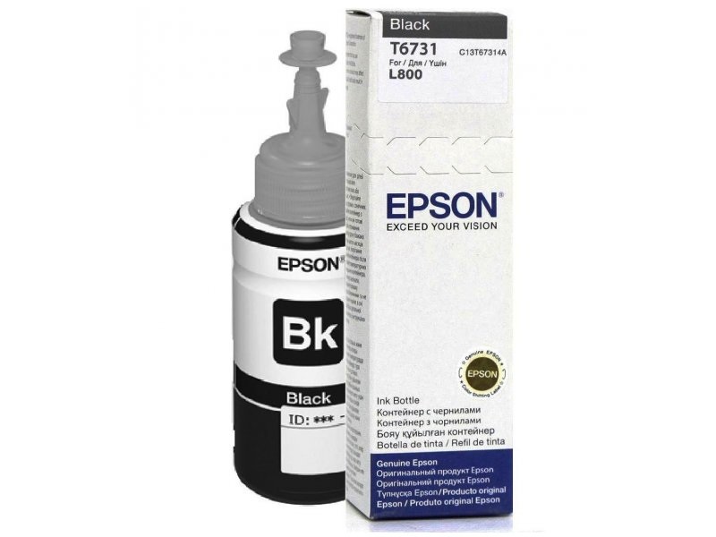 Epson T6731 Cartuccia d'Inchiostro Originale Nero per Foto 70ml - C13T67314A, Compatibile con Epson L1800, L800, L805, L810, L850