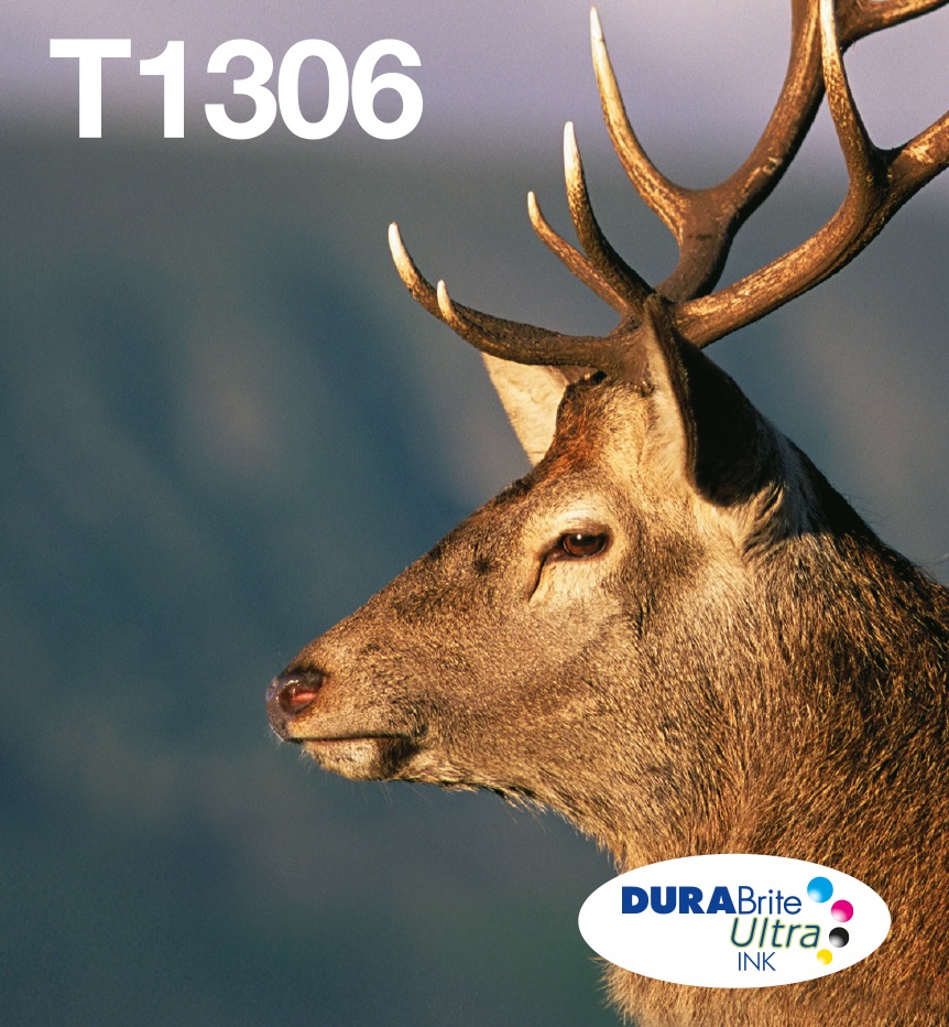 Epson T1306 Multipack 3 Colori DURABrite Ultra Ink - Resa Elevata (XL), Ciano, Magenta, Giallo, 10,1 ml, Confezione Easy Mail