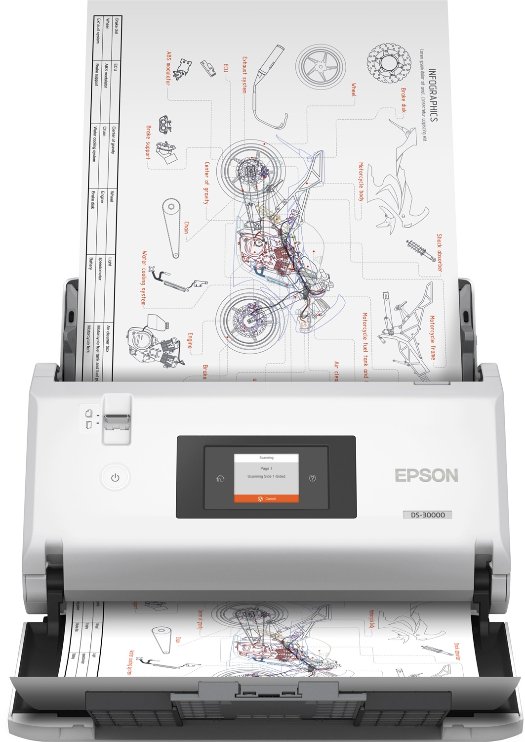 Epson WorkForce DS-30000 - Scanner A3 a foglio con risoluzione 600 x 600 DPI, ADF, velocità fino a 70 ppm e Document Capture Pro