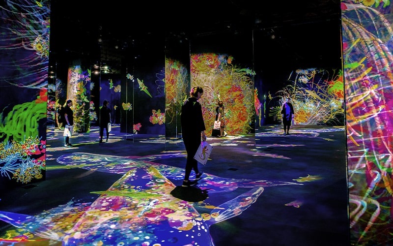 Epson EB-PU1008B Proiettore 3LCD WUXGA (1920x1200) 8500 ANSI lumen per grandi ambienti - Senza lente