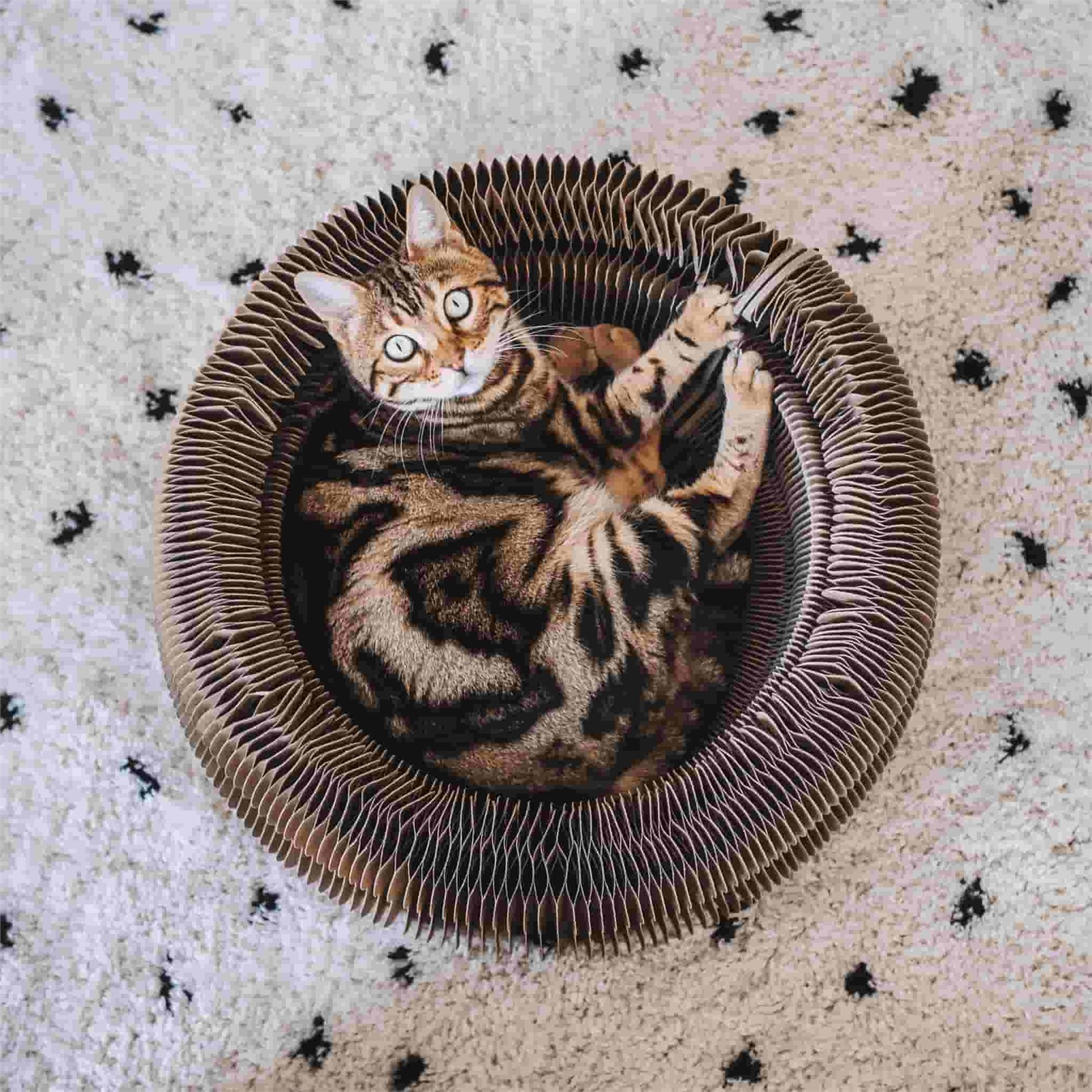 District 70 Maze 3-in-1 Cestino Ripiegabile per Gatti - Struttura Resistente in Carta a Nido d'ape, Ideale per Dormire, Giocare e Farsi le Unghie