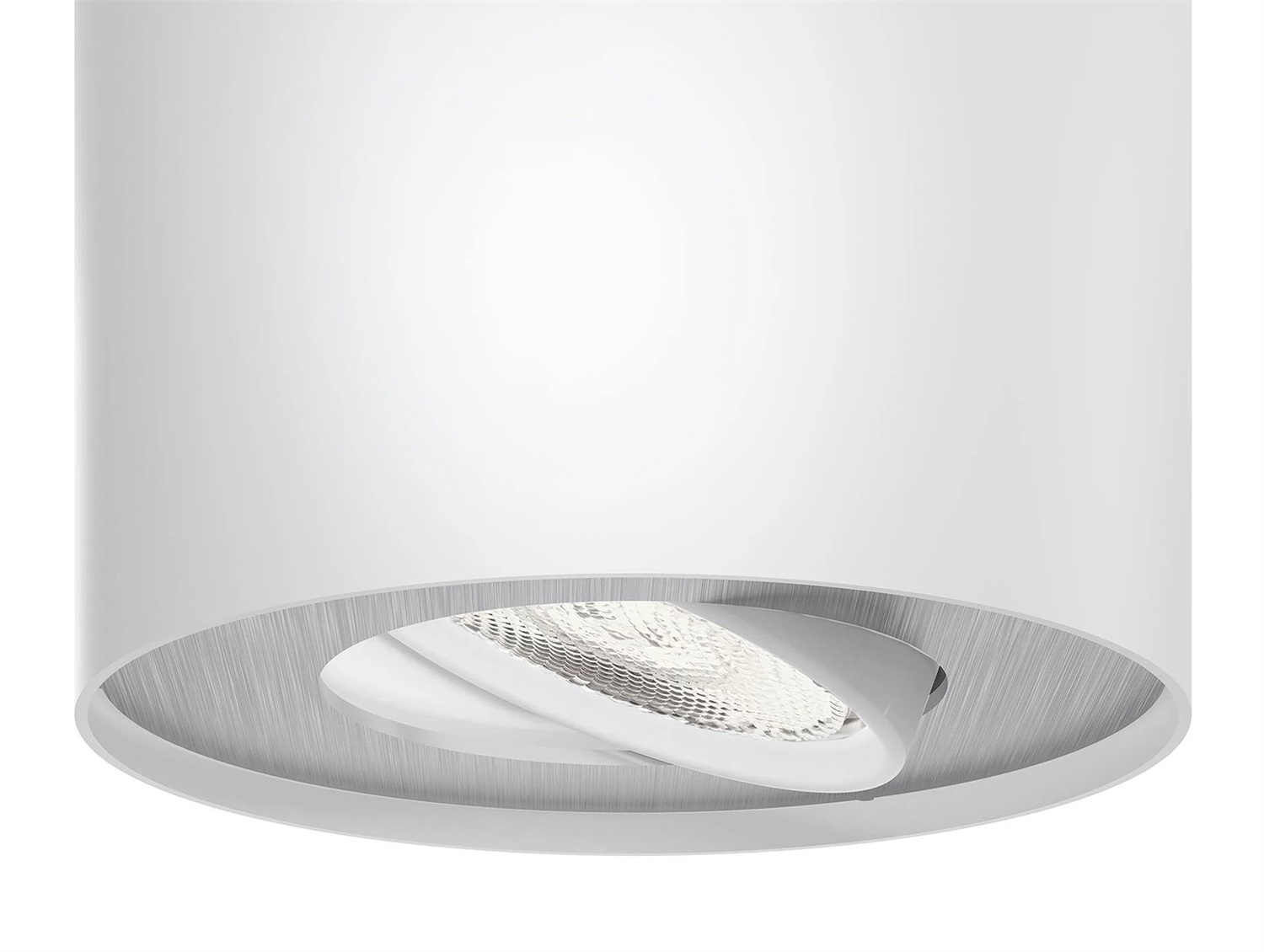 Philips myLiving Faretto singolo Dimmabile LED Phase 533003116 in Metallo