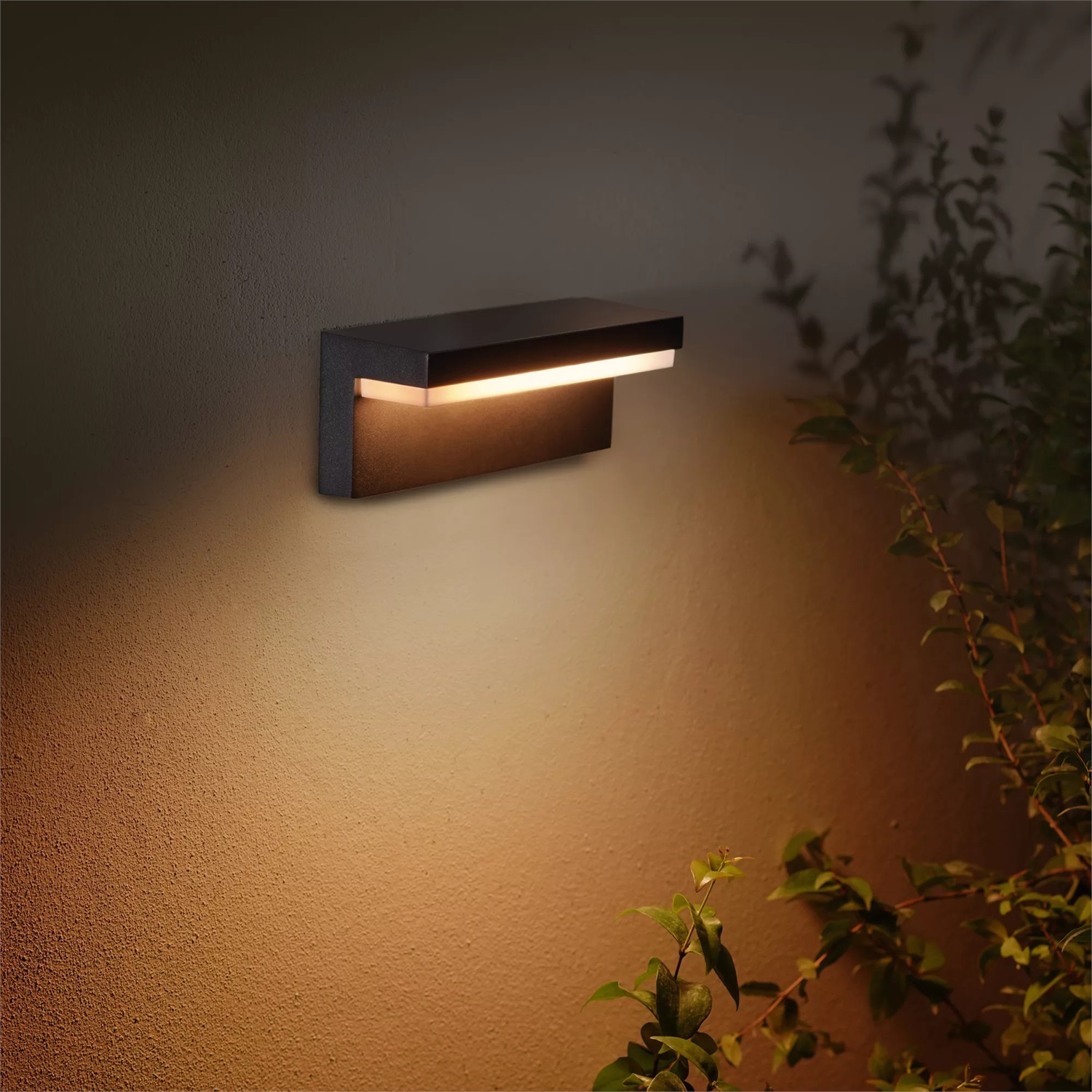 Philips Hue White and Color Ambiance Nyro - Lampada da Parete da Esterno Smart, Nero, 16 Milioni di Colori, Dimmerabile
