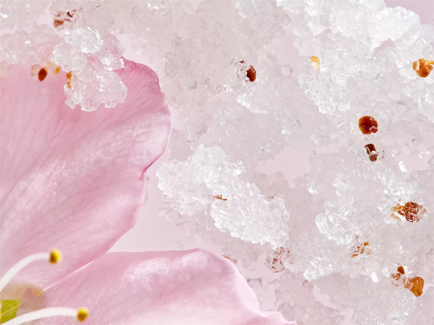 Rituals The Ritual of Sakura Sugar Body Polish - Scrub Corpo Esfoliante 250 g con Zucchero, Olio di Ciliegia e Latte di Riso