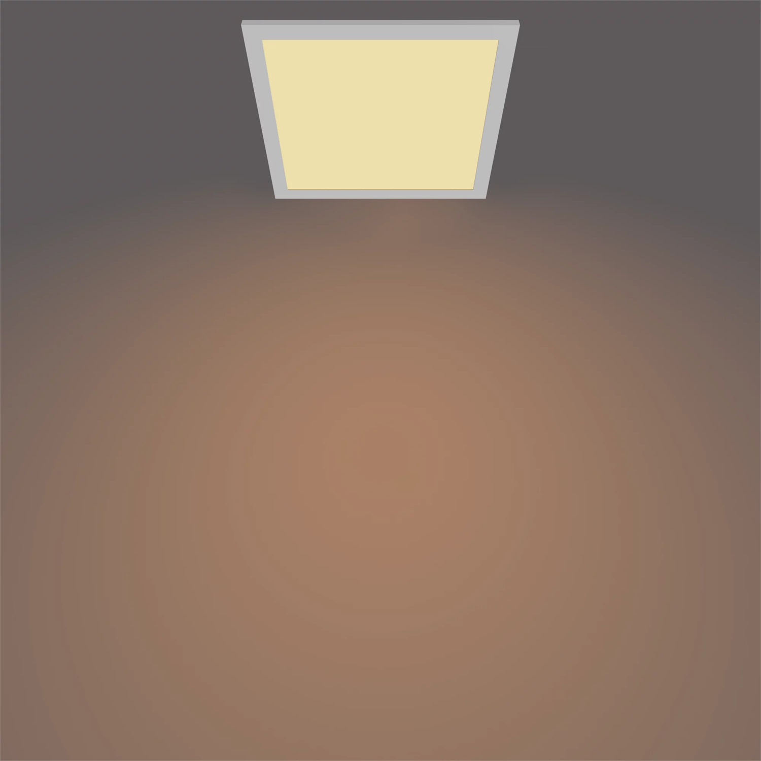 Philips Pannello LED SceneSwitch 12 W Regolabile Dimmer a Fasi Luce Bianca Fredda 1200 Lumen