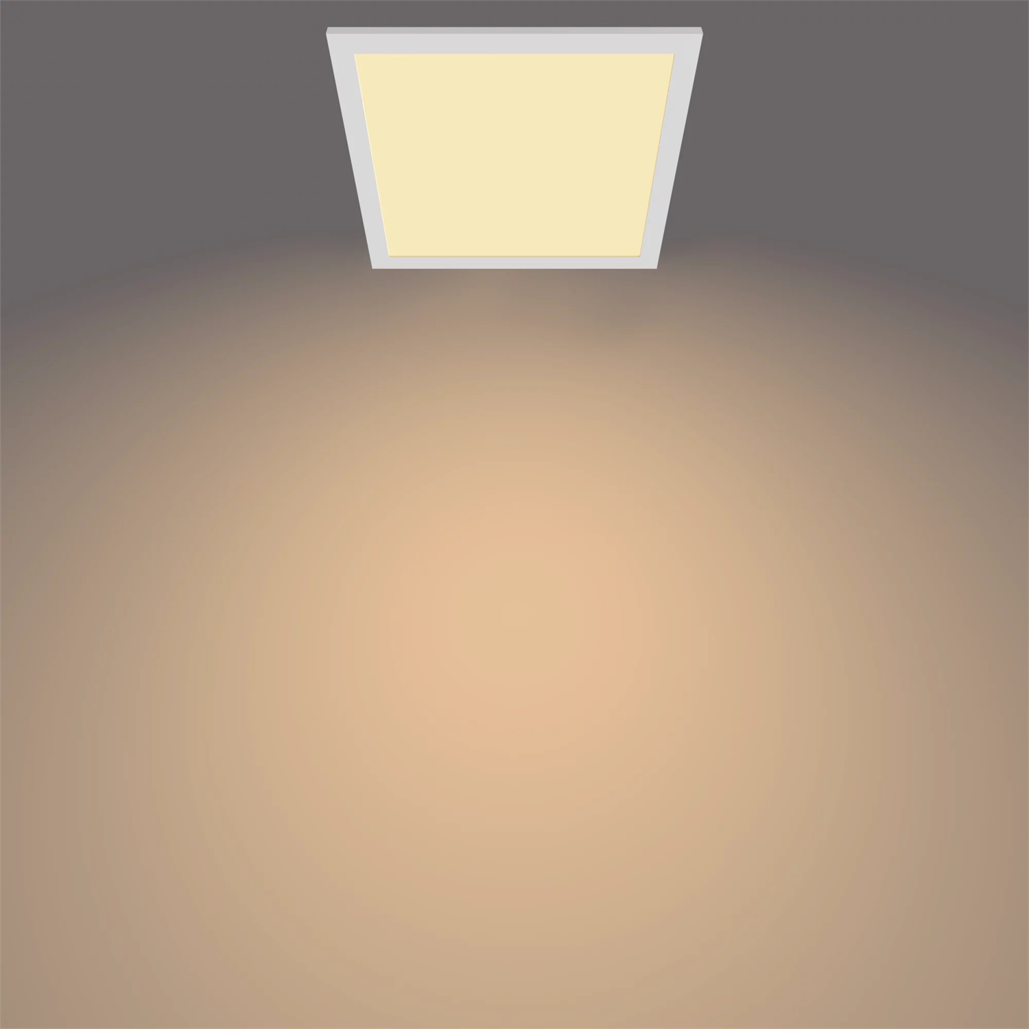 Philips Pannello LED SceneSwitch 12 W Regolabile Dimmer a Fasi Luce Bianca Fredda 1200 Lumen