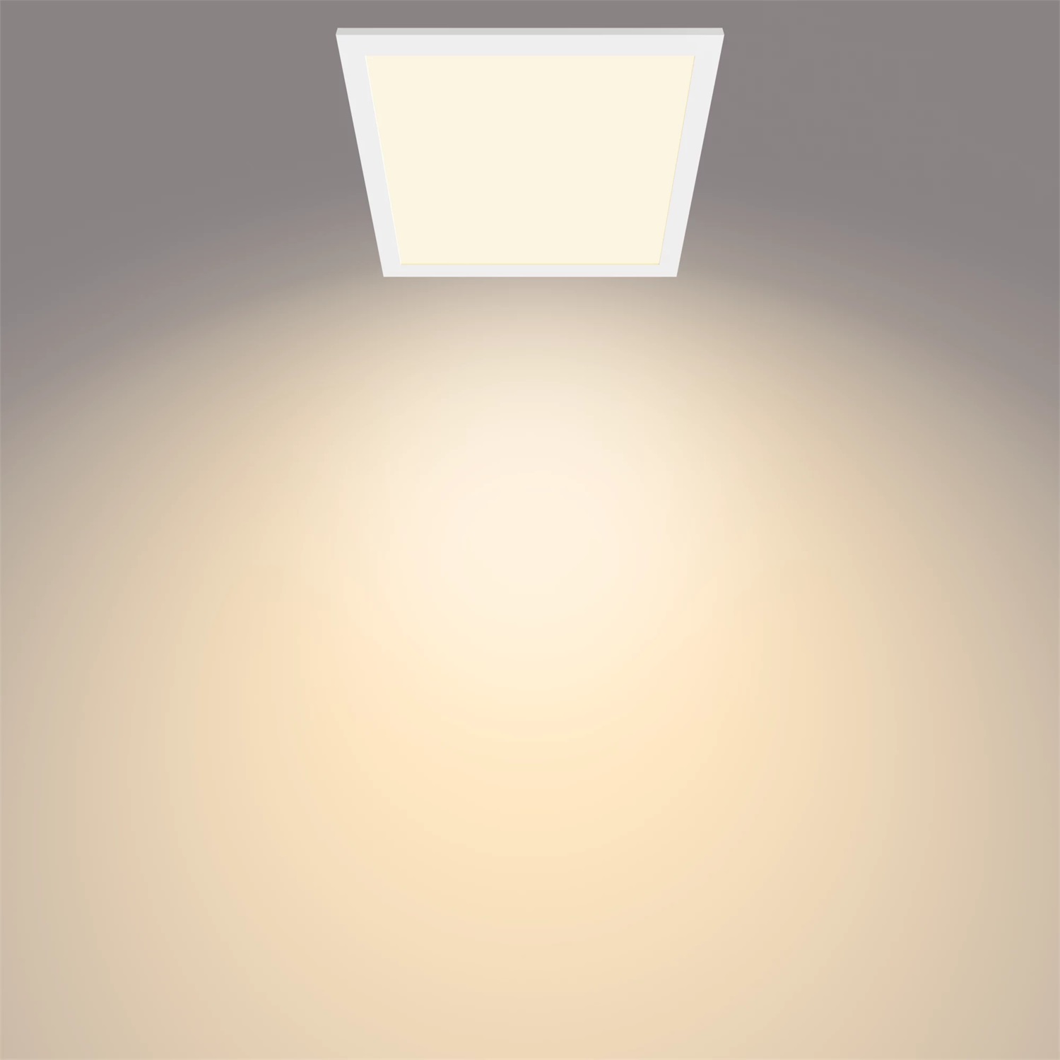 Philips Pannello LED SceneSwitch 12 W Regolabile Dimmer a Fasi Luce Bianca Fredda 1200 Lumen