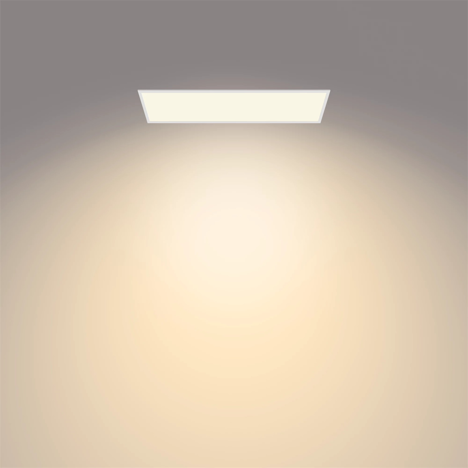 Philips Pannello LED Touch 36W con SceneSwitch Regolabile, Luce Bianca Calda 3300 Lumen