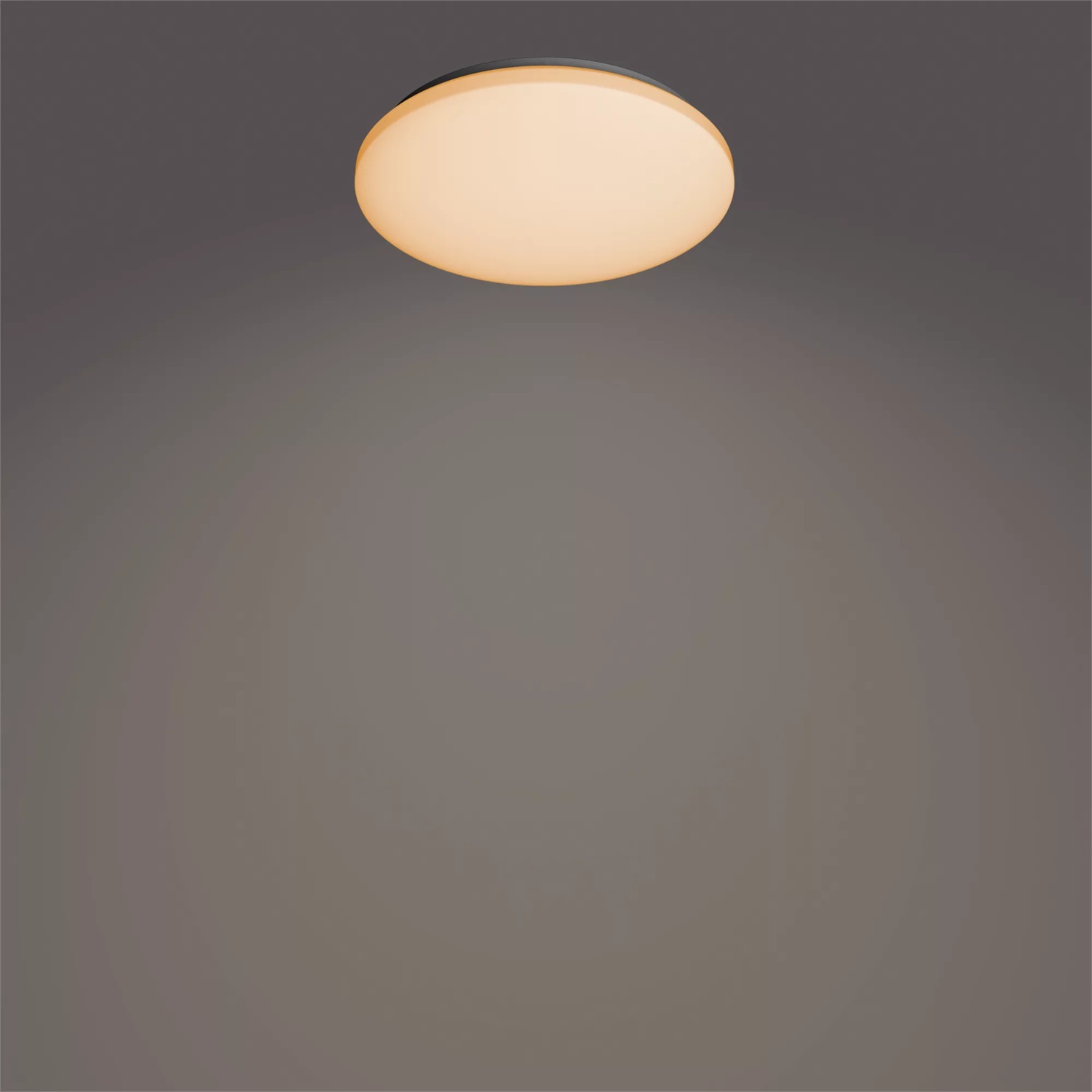 Philips LED Izso Plafoniera Rotonda con Telecomando, Dimmerabile, Luce Bianca da Calda a Fredda, 24W, Bianco
